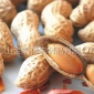 精选山东传统大花生坚果炒货休闲食品**原味烤花生果